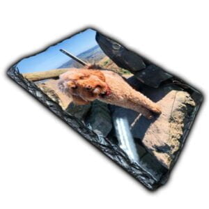 Photo Slate with dog
